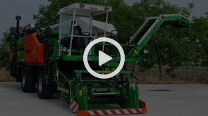 Guaresi Super G 48" Tomato Harvester Raccogli Pomodoro